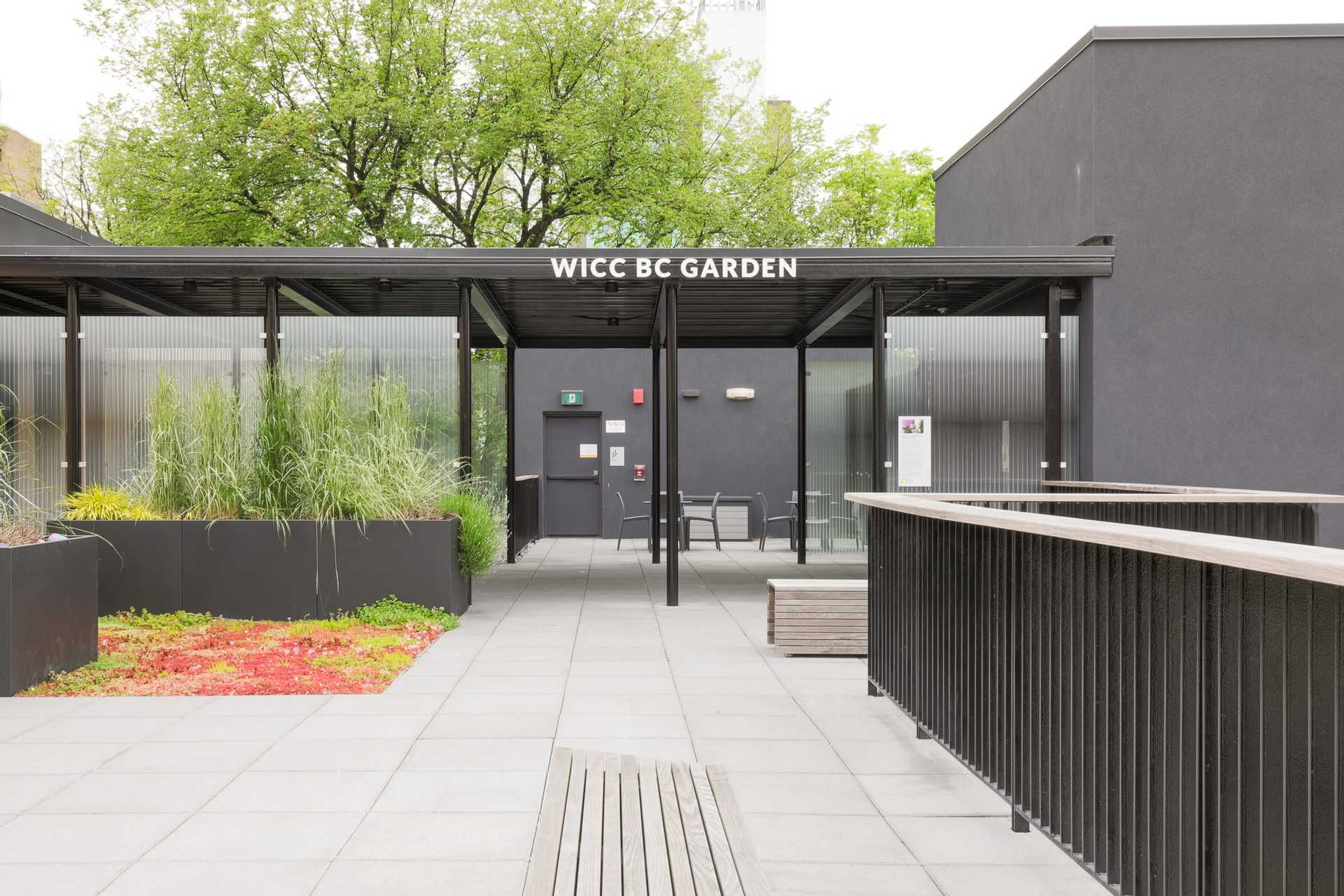 Canadian Cancer Society • Cygnus Design Group